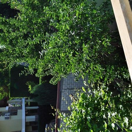 Dacha V Arkadii Hotel Oldenburg Bagian luar foto