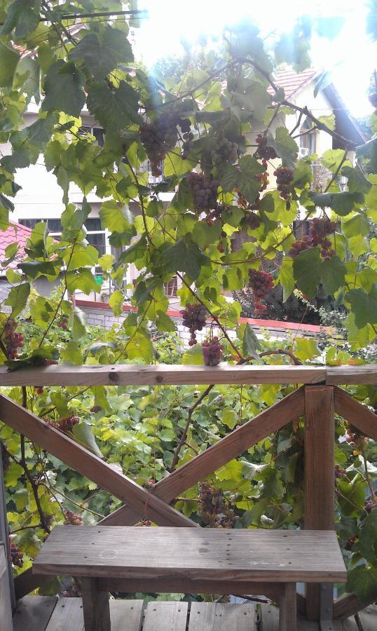 Dacha V Arkadii Hotel Oldenburg Bagian luar foto